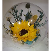 프리저브드 풍선볼 소 지름 10cm 높이 약 20cm 용산꽃집 로즈플로라, 해바라기