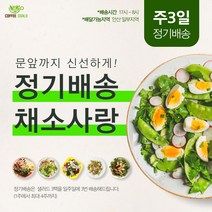 샐러드정기배송 8주X3일 24회 [ 5%할인 ] [ 안산샐러드 배달 ], 17~18시, A