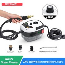 2500W 가정용 스팀 청소기 고온 살균 에어컨 주방 후드 자동차 스팀 청소기 110/220V 에어컨 주방 기름 때 청소, 중국, 하얀색, 에게 + 110V