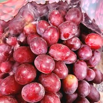 고당도 프리미엄 크림슨포도 씨없는포도, 1.6kg, 2팩