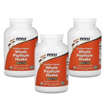 나우푸드 홀 차전자피 분말 질경이씨 껍질 가루 (340g) x3통