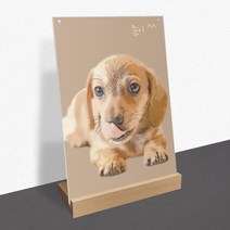 모노치 반려동물 초상화 강아지 고양이 펫아트 그림 탁상액자 무지개다리 추억 생일파티 선물, A4 (210x297mm), 08. L타입 사선우드