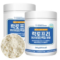 락토프리 유당제거 분리유청단백질 WPI 분말 가루 식약처 HACCP 할랄 인증, 240g, 2통