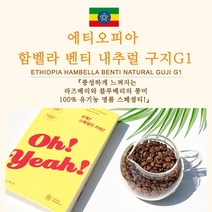 라이프빈 에티오피아 함벨라 벤티 내추럴 구지 G1, 1kg, 더치커피