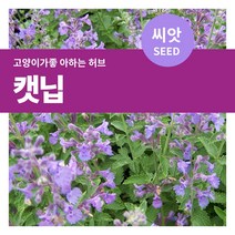 마이플랜트 캣닙 개박하 씨앗 800립(1g)