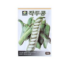 미미네가든 작두콩 씨앗 (5립) 텃밭 채소 키우기 .미미네아쿠아