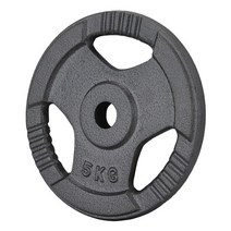 GD 클래식 주물 원판 5kg 경량원판 추감기용 바벨, 단품