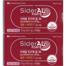 그린스토어 시데랄 포르테 철30 30캡슐X2통 2개월분