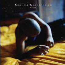 미쉘 엔디지오첼로 3집 Meshell Ndegeocello - Bitter LP 레코드 소울 블루스