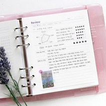A6 WIDE 6공 - 테마 리필 속지, 옵션선택