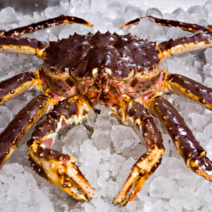 [금월크랩] 레드 킹크랩, 레드 활 킹크랩 2.6 ~2.8kg