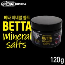 이스타 베타 미네랄 솔트 120g, 단품