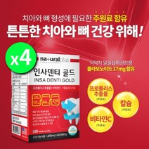 건강한 치아 뼈 형성 잇몸 케어 영양제 항산화 관리 복합 프로폴리스 추출물 비타민C 칼슘 함유 보조제, 4BOX(8개월분)