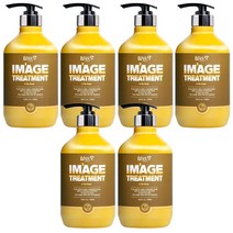 위스티 이미지 극손상 헤어트리트먼트 아라로즈 500ml, 6개