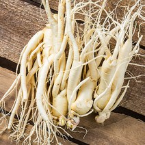 금산 인삼 350g 세척 수삼 인삼꽃주 삼계삼 난발삼 아카시아꿀 동강이 꿀절임 파삼 막삼 가정용삼 인삼차, 15_1XCE_아카시아 꿀 1200g
