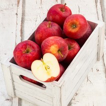 [초록자연] 부사 청송 사과 10kg (46-50과) 꿀부사