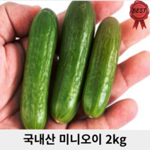 국산 국내산 미니오이 스낵오이 2kg 싱싱한 유기농 미인오이 생식 피클 다이어트 오이 오이지 꼬마오이 작은오이