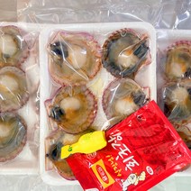 산지 통영 제철 해산물 소라회 비단가리비 장어 새조개 당일작업, 1box, 홍가리비하프셀 3팩