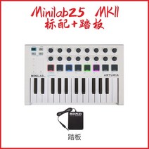 미디 키보드 미니 건반 마스터 키보드 전자 컨트롤러, 미니 lab25MKII 화이트 + 페달