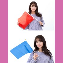 체육대회 운동회 단체 청기백기 응원깃발 홈파티용품 친구생파, 1개, 블루