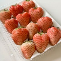 1+1 신데렐라딸기 만년설 설화 백설 딸기 백딸기 흰딸기, 2개