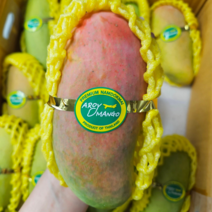 항공직송 골드망고 무지개망고 태국망고 2kg/3kg/5kg 온어프레시, 태국골드망고2kg(4-8과)