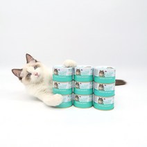 동동이네 고양이 습식사료 전연령용 대용량 주식캔 구내염예방 고양이캔 사조 옵티원 부스트 닭안심 맛살 160g, 3개