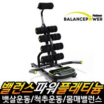 밸런스파워 플래티늄 복근 헬스 전신 뱃살 운동기구 유명 전문트레이너 추천 전문 트레이너 전신몸매관리 운동기 홈쇼핑, 밸런스파워 플래티늄(블랙_홈쇼핑정품)