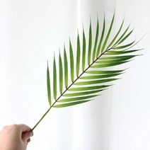 1300K 이너스 조화 아레카야자 1P, 단품