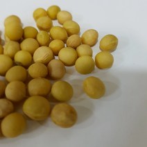 [22년산] 백태 메주콩 햇콩 국산콩, 1개, 2kg