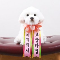 갓샵 인간화환 당일발송ver 강아지형 소형 [졸업 결혼식 생일], 상세설명 참조, 소형/8. 할아버지환갑축하드려요 선물은저에요♥