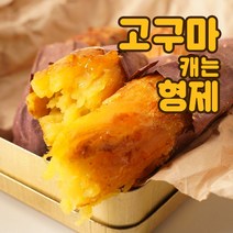 고구마캐는형제 서산 황토 꿀고구마, 1box, 꿀고구마 10kg 중(60~120g)