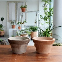 볼케이노 화분 이탈리아토분 러프스크래치, 상품선택, 그레이