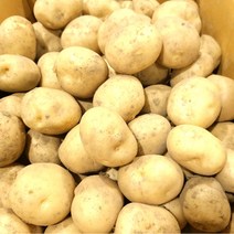 포근포근한 감자(대)3kg 싱싱지오, 감자3kg