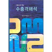 그림으로 푸는 수충격해석, 동명사, 한국수자원공사