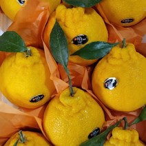 한라봉 3kg 8-15내외 제주한라봉, 상세페이지 참조, 상세페이지 참조, 상세페이지 참조