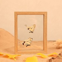 투명액자 양면액자 원목 유리 식물 표본 표구, 원목색