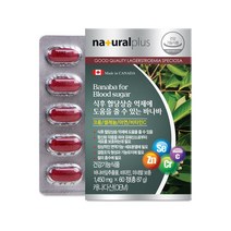 내츄럴플러스 바나바잎 추출물 60정 1박스 식후 혈당상승 억제 1