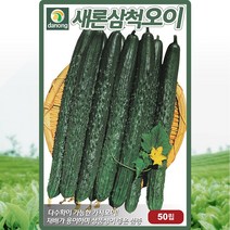 다농 새론삼척오이(가시오이)씨앗 50립, 1개