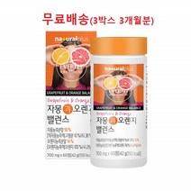 이너뷰티 자몽 나린진 오렌지 과라나 분말 가루 100 무첨가물 헤스페리딘 혼합유산균포함 신진대사촉진