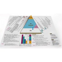 한눈에 보는 신분제도 삼각뿔 역사교구 역사논술 유아보드게임