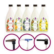 [포모나] 스무디2kg 5종 소스펌프, 포모나 키위 스무디