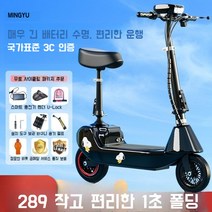 기함급전동킥보드 듀얼 로드 고성능 고스펙 전동스쿠터, 표준 브러시드 24v 블루 40~50마일