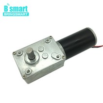 Bringmart-70kg.cm 토크 DC 웜 기어드 모터 12V 24V 미니 기어 박스 DIY 커튼 기계용 자동 잠금 엔진 반전, 06 12V 160rpm_05 Package five