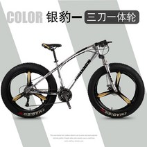 산악용 자전거 22인치 MTB 26인치 접이식 광폭타이어 팻바이크 바퀴큰자전거, 21단, 24인치, 은색(나이프 휠 3개)