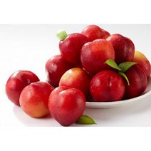 김천 자두 후무사 대석 하우스 소과 중과 고당도1Kg, 하우스 대석 자두 1Kg 중과(12과~20과), 1개