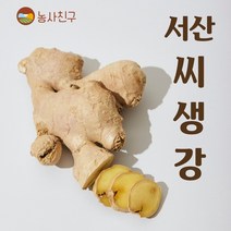 농사친구 국내산 서산 씨생강 생강 종자 씨앗 생강씨 보급종, 10KG