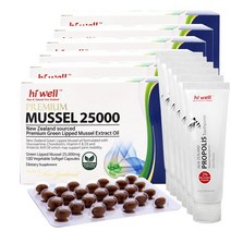 하이웰 프리미엄 뉴질랜드 초록홍합오일 25000mg 100캡슐+프로폴리스치약100g 초고함량 머슬오일 100일분, 100캡슐, 6통