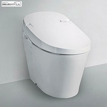 대림바스 DST-801도기일체형비데 자동물내림