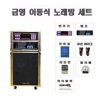 방문설치 이동식 노래방 기계 금영 KMS-S900P 가정용 업소용 반주기 앰프 출력 500W 최신곡 포함, 무선 마이크 (선택안함)